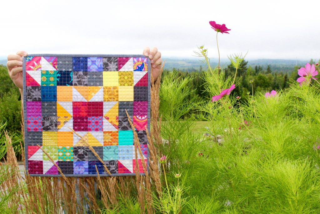 Kim Soper/Leland Ave Studios Questions for Quilters