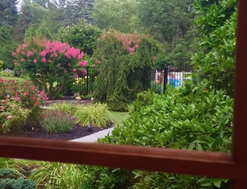 A Beginners Guide to Garden Work Zones
