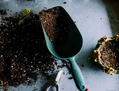 Smart Garden Tool Storage