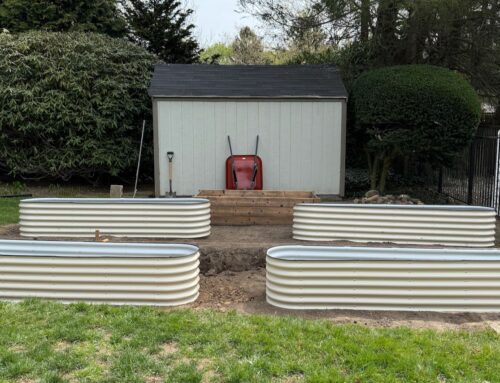The Kitchen Garden-Bed Project